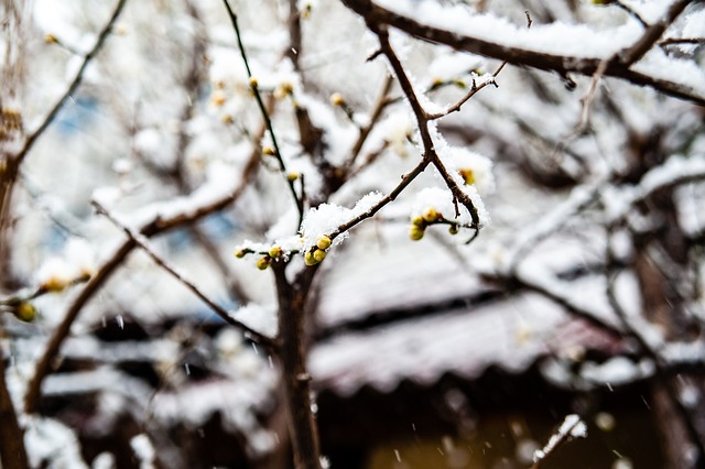 背景下对乒